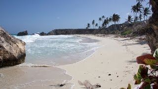 Beaches of Barbados [upl. by Aniaj864]