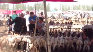 The Kashgar Livestock Market [upl. by Salina]