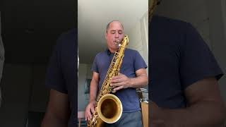 2008 Rampone amp Cazzani tenor saxophone demo for Reverb sale [upl. by La Verne553]