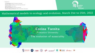 The evolution of eusociality [upl. by Irv449]