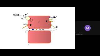 Hipocalcemia e hipomagnesemia [upl. by Shannen]