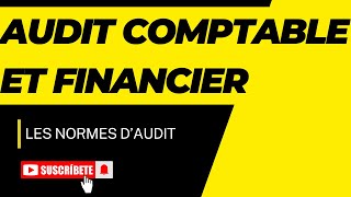 les Normes dAudit  les Normes de Rapport [upl. by Animas]