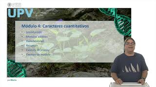 MOOC Introducción a la genética vegetal  117  UPV [upl. by Bev205]