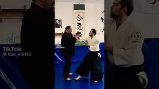 Steven Seagal Aikido master amazing skills martial arts extreme stunts strongman Kung Fu wushu [upl. by Ayekahs]