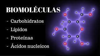 BIOMOLÉCULAS Carbohidratos lípidos proteínas y ácidos nucleicos [upl. by Lucier]