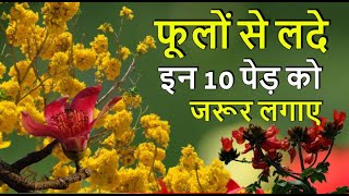 बरसात में लगाइये 10 फूलों वाले पेड़। Grow These Flower Tree in Rainy Season [upl. by Aym]