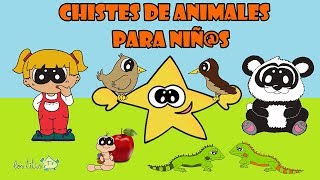 CHISTES de ANIMALES para morirse de la risa para NIÑOS 🐘🐈🦎🐛🐧  Chistes buenos 2 [upl. by Olyhs]