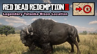 Legendary Tatanka Bison location  Red Dead Redemption 2 [upl. by Herzog953]