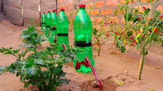 Cómo hacer RIEGO POR GOTEO automático con botellas de plástico [upl. by Lytle411]