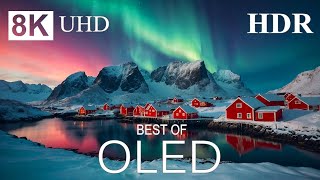 BRIGHT COLORS 8K HDR  Best Of OLED Demo 8K ULTRA HD [upl. by Sidell343]