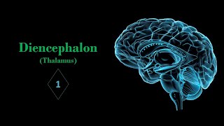 Introduction of diencephalon and thalamus Prof Ashfaqur Rahman [upl. by Rodman]