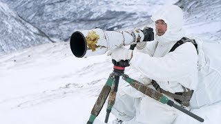 4 DAY SOLO WINTER CAMPING AND WILDLIFE PHOTOGRAPHY  off grid adventure behind the scenes in Norway [upl. by Nowahs746]