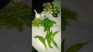 Kachri ki chatni kis  kisko pasand hai 😋 organicgarden gardening plants organicgardener [upl. by Asirralc]