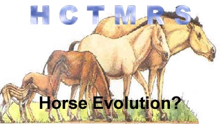 How Creationism Taught Me Real Science 56 Horse Evolution [upl. by Jewell570]