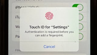 Touch ID Not Working Authentication is Required before you can add a Fingerprint error on iPhone [upl. by Gardel]