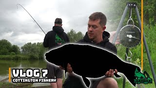 Cottington Lakes  New Pepper  Carp Fishing  Chasing the 40lb Carp Vlog 7 [upl. by Oj]