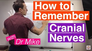 How To Remember Cranial Nerves [upl. by Imar936]