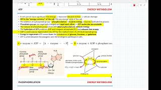 Week 7  Cellular respiration [upl. by Godred169]