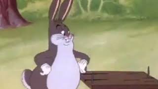 BIG CHUNGUS [upl. by Nelon969]