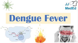 Dengue Fever  Pathophysiology Symptoms Diagnosis amp Treatment [upl. by Westfall638]