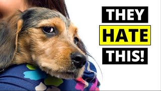 7 THINGS Dogs Hate That Humans Do [upl. by Macnair]