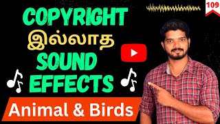 How To Get Copyright Free Sound Effects For Youtube Videos in Tamil  Animal amp Birds Sounds  109 [upl. by Emmer]