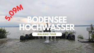 509m Bodensee Hochwasser Immenstaad am Bodensee 11 Juni 2024 [upl. by Cibis]