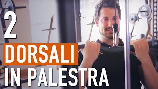 Come ALLENARE I DORSALI in PALESTRA  Esercizi per la schiena [upl. by Weisler]