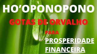 HOOPONOPONO COM GOTAS DE ORVALHO PARA PROSPERIDADE FINANCEIRA [upl. by Palm]