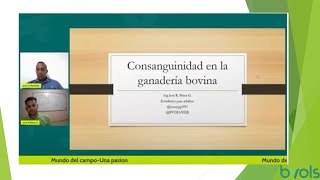 Consanguinidad en la ganadería bovina [upl. by Ynoyrb198]