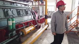 Powermax 5MW rice husk gasification power plant2 [upl. by Neelyak]