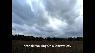 Ernst Krenek Walking On a Stormy Day No 3 from quot12 Short Piano Piecesquot op 83 1939 [upl. by Milon]