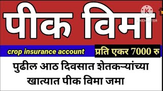 Crop Insurance accountपुढील आठ दिवसात शेतकऱ्यांच्या खात्यात पिक विमा जमा होणार Crop Insurance claim [upl. by Nomzed]