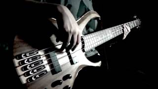 Alter Bridge  Blackbird Bass Cover HD [upl. by Aennil]