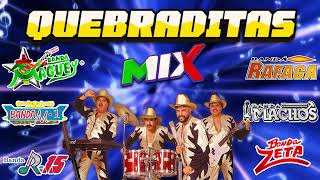 Quebradita Mix De Los 90 Exitos  Banda Machos El Mexicano Banda Maguey Banda Zetay Mas [upl. by Santoro615]