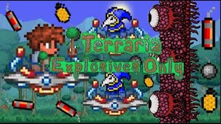 I beat Terraria with explosives only [upl. by Kym]