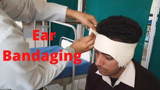 Ear bandaging by PC nursing procedure [upl. by Hillman]