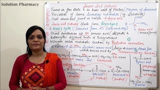 Class 07 Amino Acid Pathway Part 01  Introduction Reductive amination and Transamination [upl. by Bernadine]