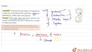 Assertion  A typical microsporangium of angiosperms is generally surrounded by four wall layers [upl. by Ahsocin]