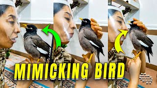 Mimicking Bird Repeating Words and Following Commands [upl. by Skell308]