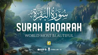 Surah Al Baqarah Full سورة البقره  Relaxing Calming amp Heart Touching Quran  Zikrullah TV [upl. by Llezniuq]