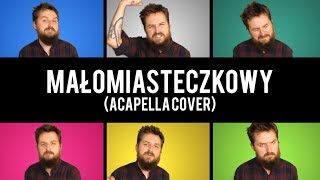 Dawid Podsiadło  Małomiasteczkowy acapella cover [upl. by Matless514]