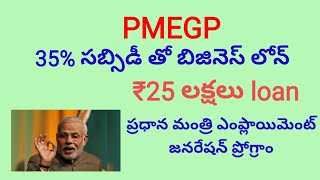 PMEGP Scheme details in Telugu [upl. by Lewin]