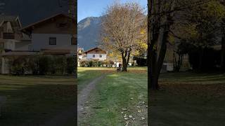 Autunno più bello nei ultimi 20anni ancora senza neve e pieno di colori Subscribe canale 🥰 [upl. by Anitroc]