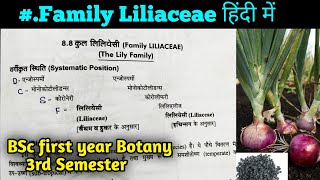 Family Liliaceae in hindi  BSc 2nd year Botany third Semester [upl. by Zhang49]