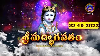 శ్రీమద్భాగవతం  Srimad Bhagavatham  Kuppa Viswanadha Sarma  Tirumala  22102023  SVBC TTD [upl. by Samaria]