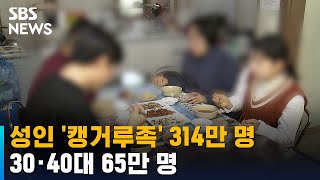 성인 캥거루족 314만 명…30 · 40대 65만 명  SBS [upl. by Cired]