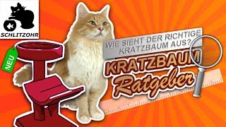 🔥Kratzbaum XXL Kratzbaum günstig Kratzbaum für große Katzen  worauf achten Katzenbaum Ratgeber [upl. by Angelica]