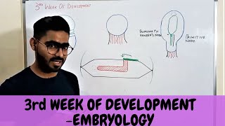 Third Week Of Human Development  GENERAL EMBRYOLOGY  urdu \ Hindi [upl. by Siduhey]