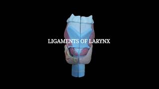 Ligaments of Larynx  Extrinsic amp Intrinsic ligaments [upl. by Ehlke335]